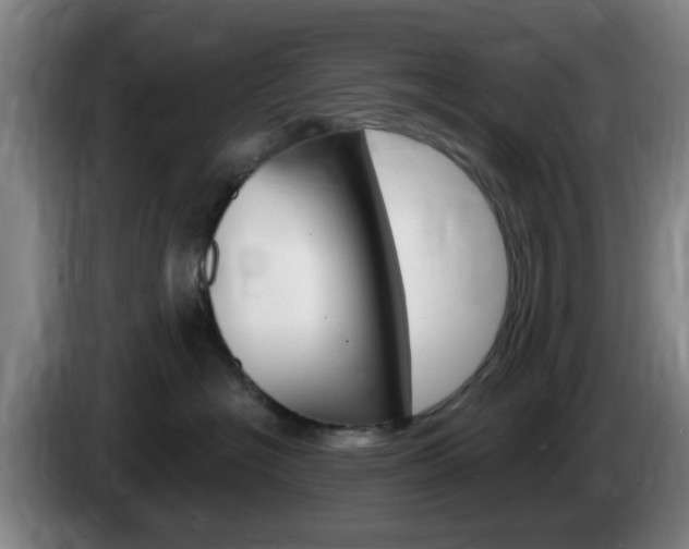 X0000085320574200703091117