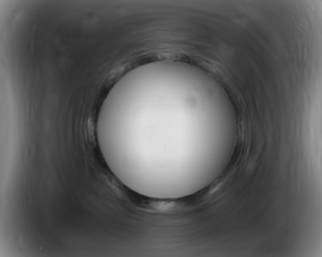 X0000085320575200703091117