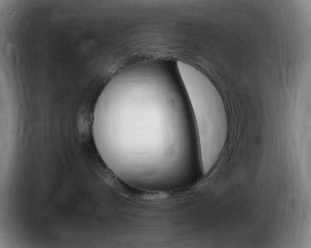 X0000085320576200703091117