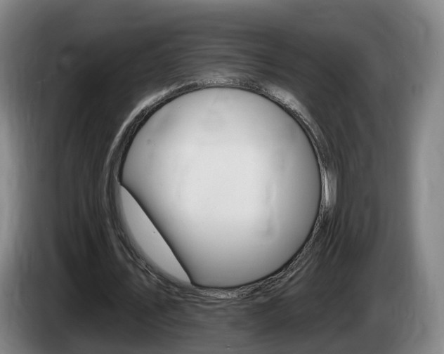 X0000085320579200703091117