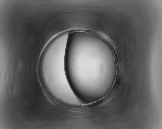 X0000085320580200703091117