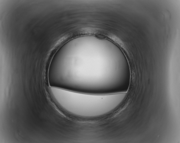 X0000085320581200703091117