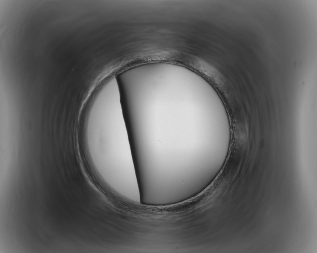 X0000085320582200703091117