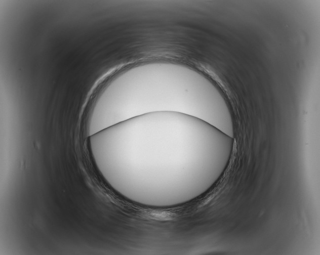 X0000085320583200703091117