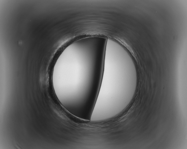 X0000085320584200703091117
