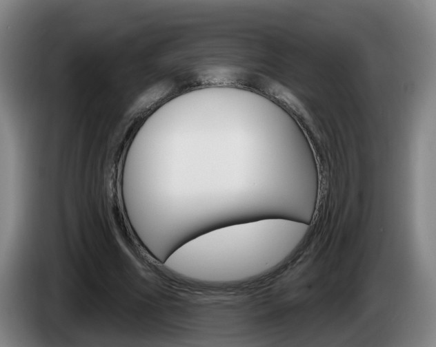 X0000085320586200703091117