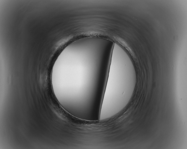 X0000085320588200703091117