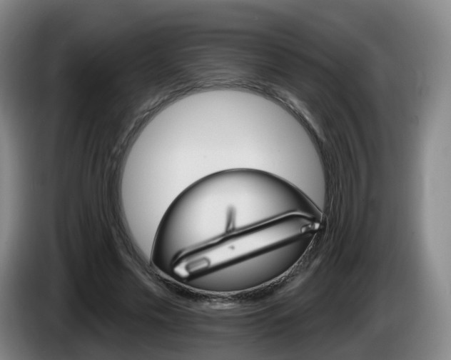 X0000085320589200703091116