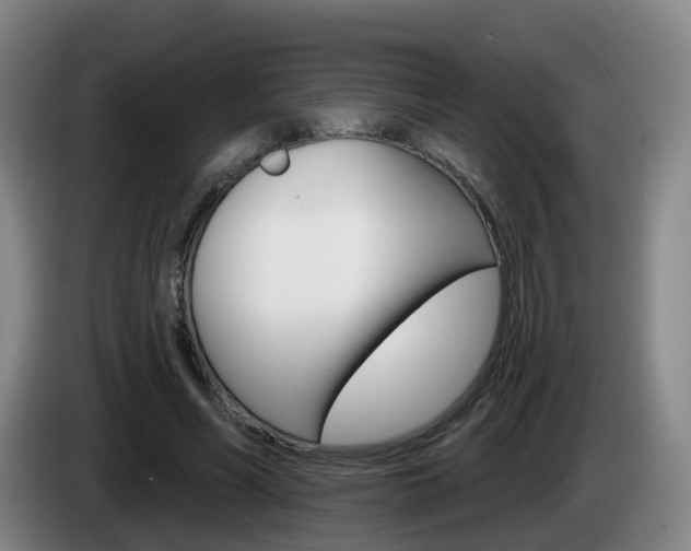 X0000085320590200703091116