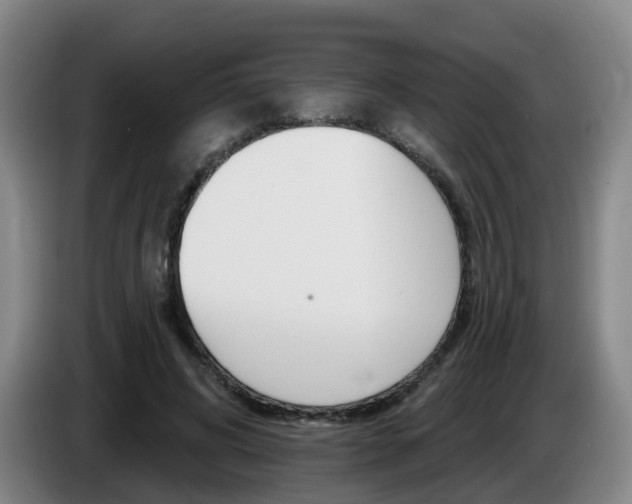 X0000085320592200703091116