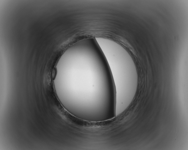 X0000085320593200703091116