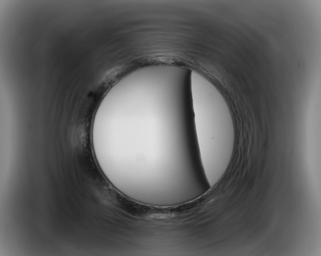 X0000085320595200703091116