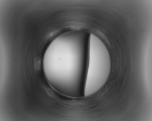 X0000085320596200703091116