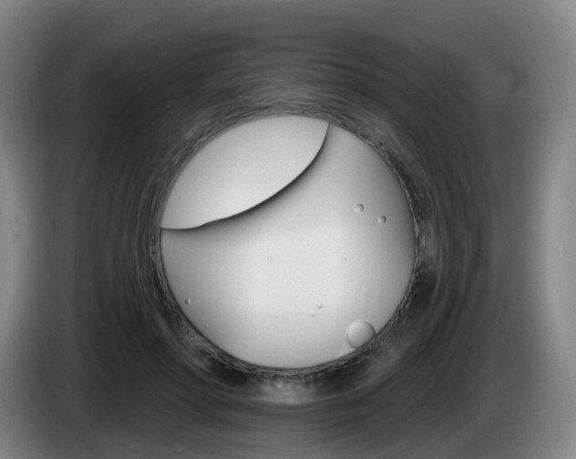 X0000085320598200703091116