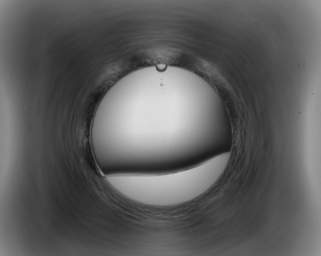 X0000085320599200703091116