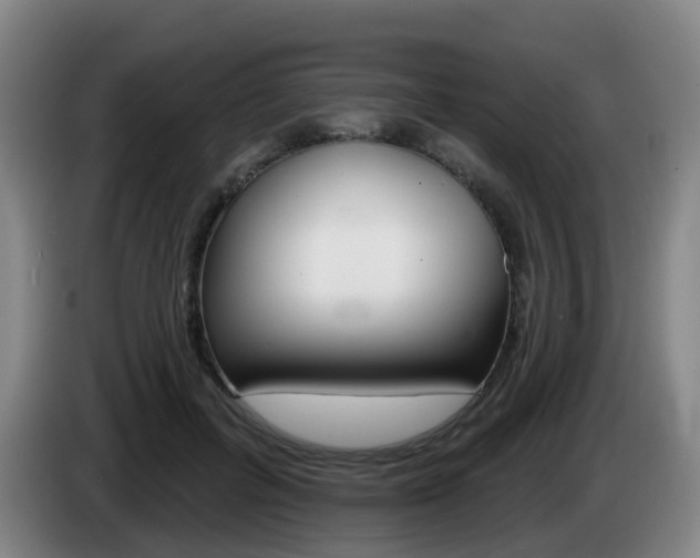 X0000085320600200703091116