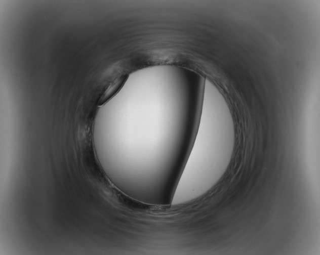 X0000085320601200703091116