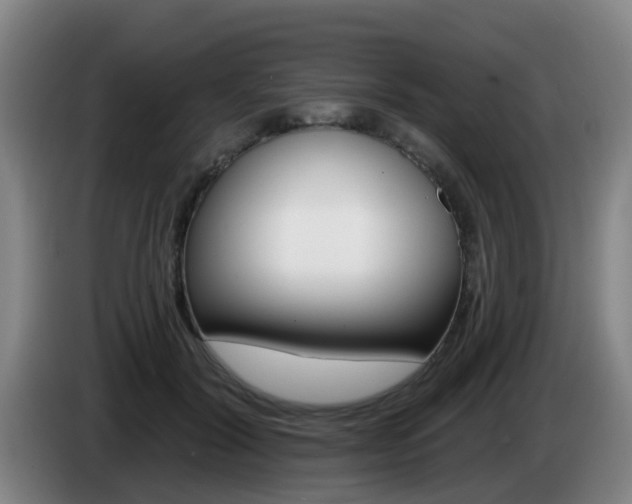 X0000085320604200703091116