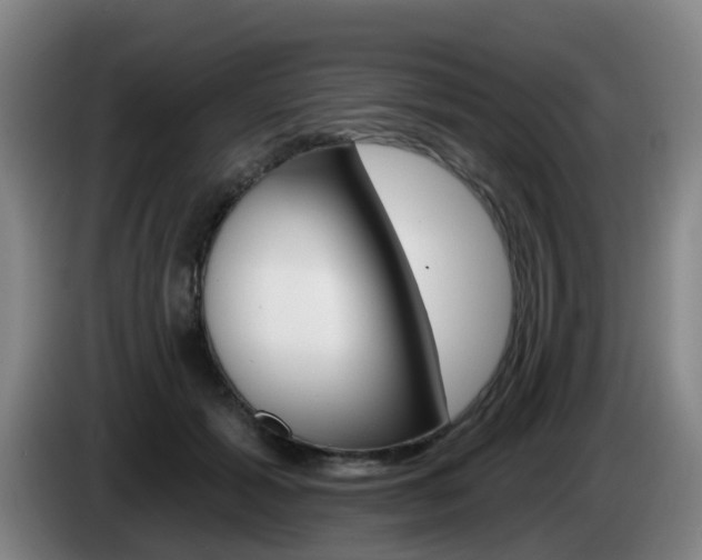 X0000085320605200703091116