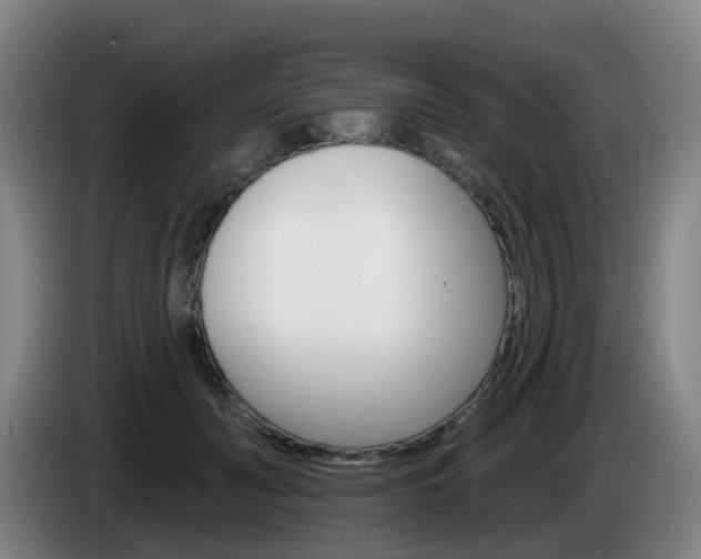 X0000085320606200703091116