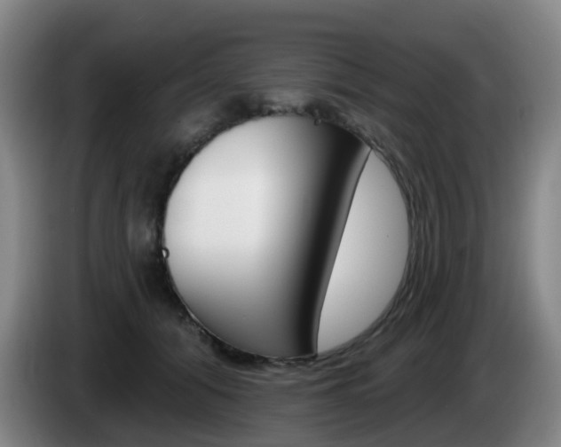 X0000085320608200703091116