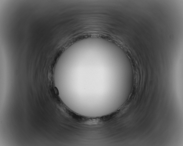 X0000085320609200703091116