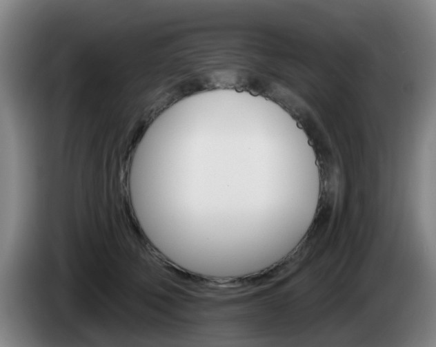 X0000085320610200703091116
