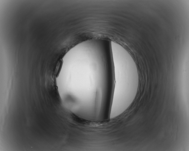 X0000085320613200703091116