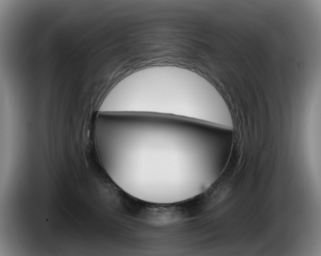 X0000085320615200703091116