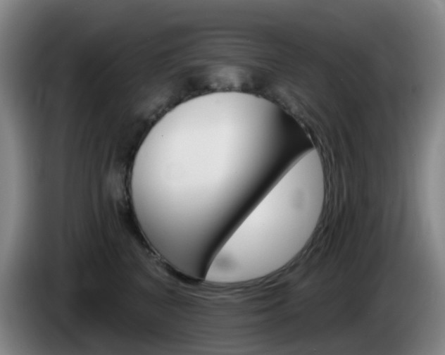 X0000085320616200703091116