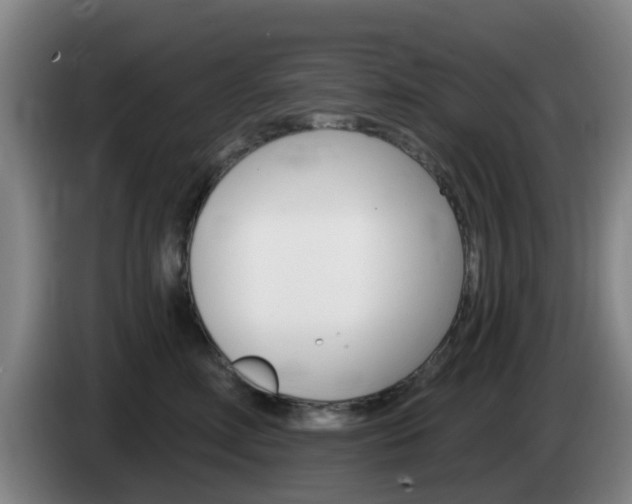 X0000085320618200703091116