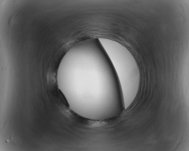 X0000085320621200703091116