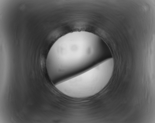 X0000085320623200703091116