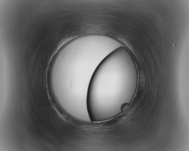 X0000085320626200703091115