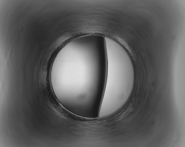 X0000085320627200703091115