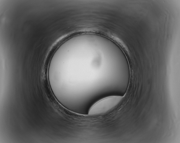 X0000085320628200703091115