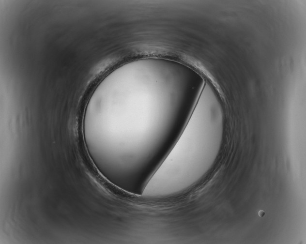 X0000085320629200703091115
