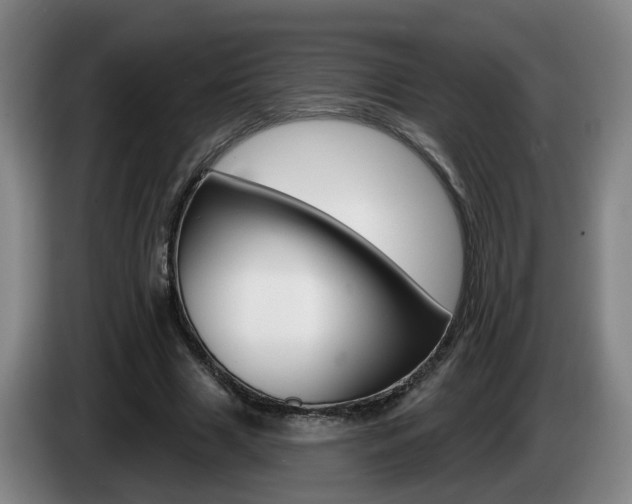 X0000085320633200703091115
