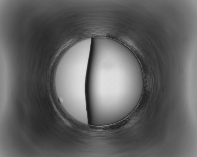 X0000085320634200703091115