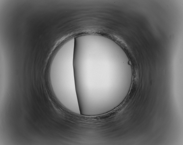 X0000085320636200703091116