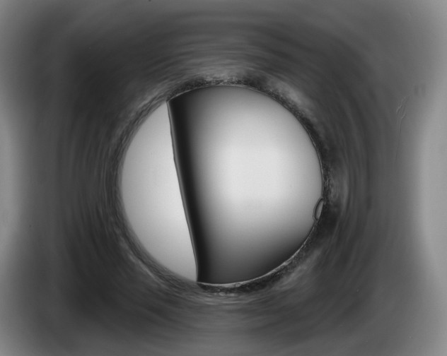 X0000085320637200703091116