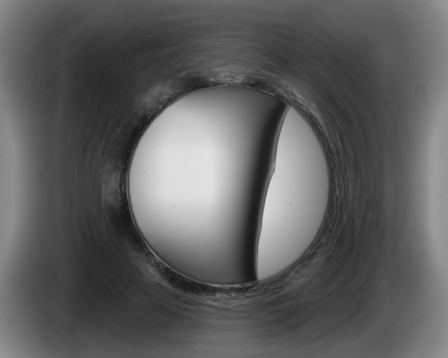 X0000085320641200703091116
