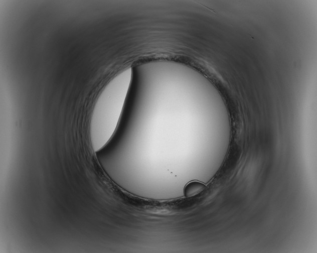 X0000085320643200703091116