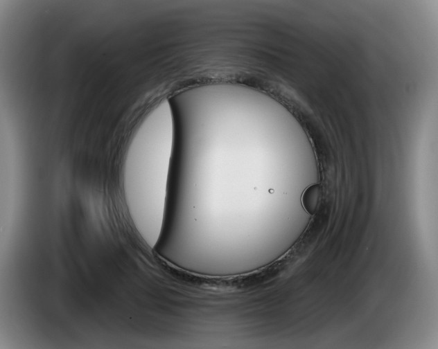 X0000085320644200703091116