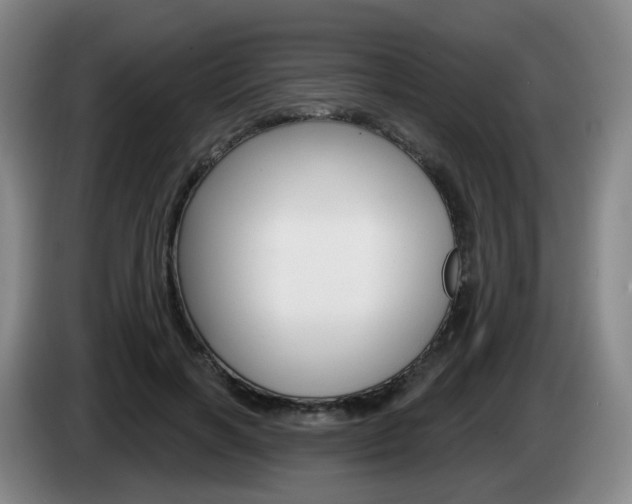 X0000085320646200703091116