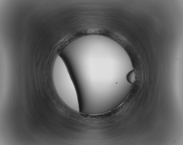 X0000085320648200703091116