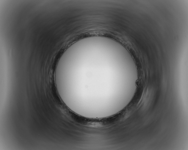 X0000085320649200703091116