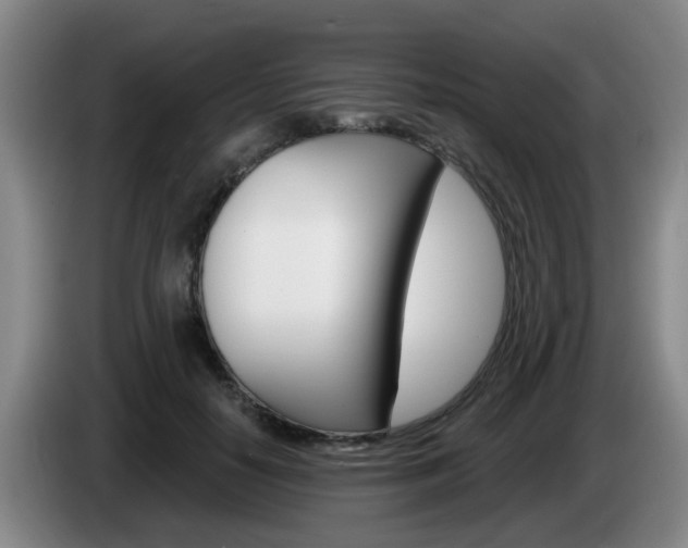 X0000085320650200703091116