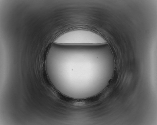 X0000085320653200703091116