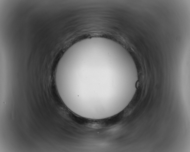 X0000085320655200703091116